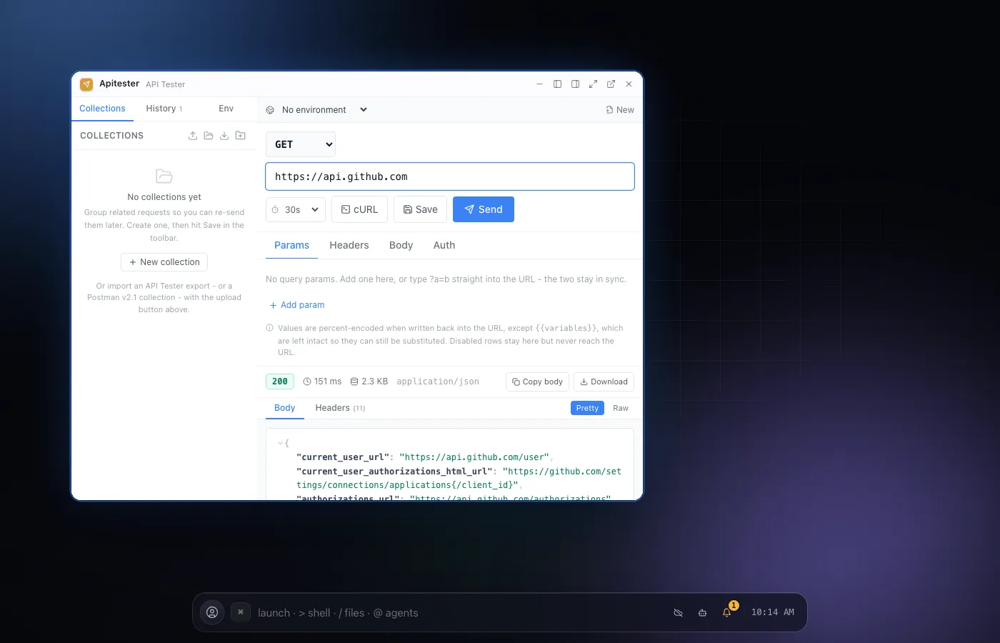 API Tester screenshot