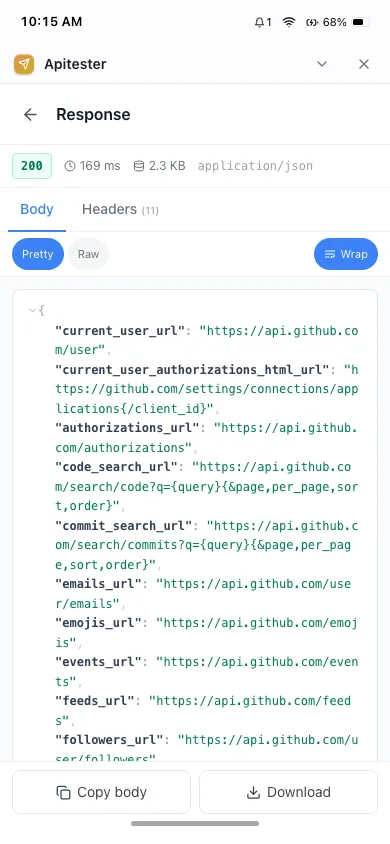API Tester on phone