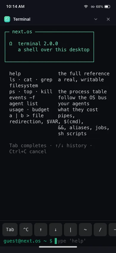 Terminal on phone